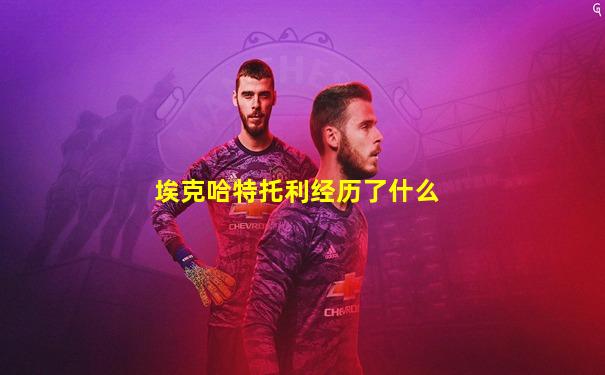 埃克哈特托利经历了什么