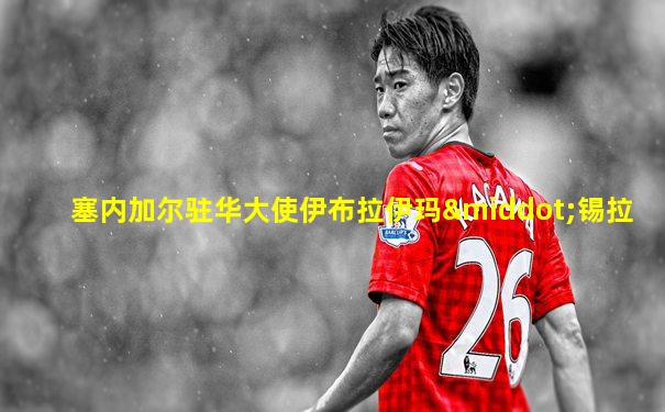 塞内加尔驻华大使伊布拉伊玛·锡拉
