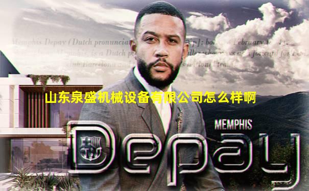 山东泉盛机械设备有限公司怎么样啊