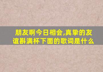 朋友啊今日相会,真挚的友谊斟满杯下面的歌词是什么
