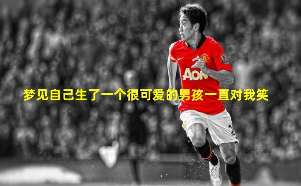 梦见自己生了一个很可爱的男孩一直对我笑