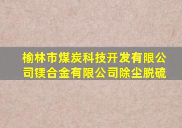 榆林市煤炭科技开发有限公司镁合金有限公司除尘脱硫