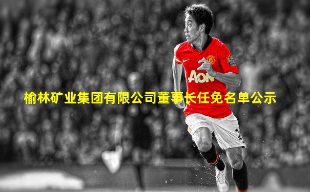 榆林矿业集团有限公司董事长任免名单公示