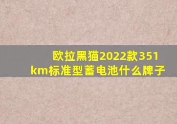 欧拉黑猫2022款351km标准型蓄电池什么牌子