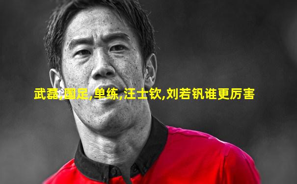 武磊,国足,单练,汪士钦,刘若钒谁更厉害