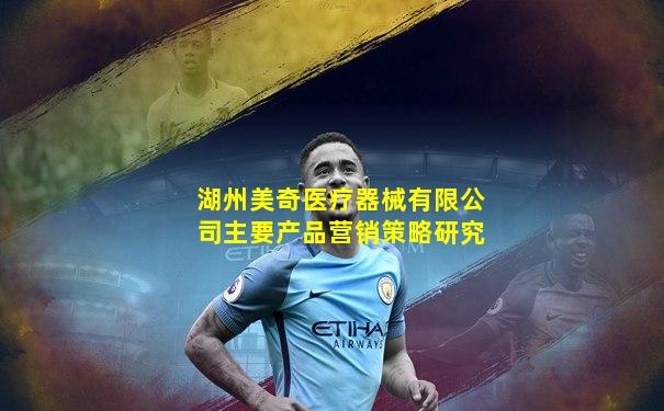 湖州美奇医疗器械有限公司主要产品营销策略研究
