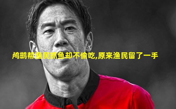 鸬鹚帮渔民抓鱼却不偷吃,原来渔民留了一手